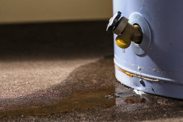Best Water damage restoration near me  in Greenbriar, FL