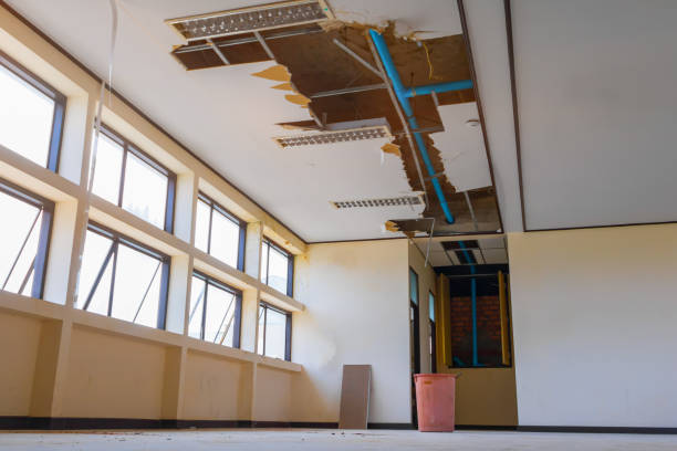 Best Ceiling water damage repair  in Greenbriar, FL