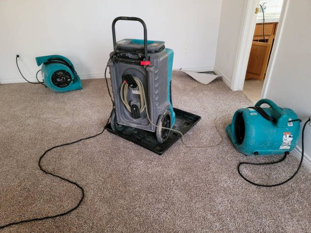 Best Fire Damage Restoration  in Greenbriar, FL