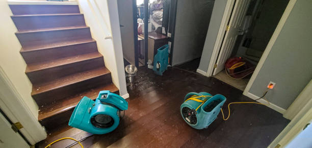 Best Water damage restoration cost  in Greenbriar, FL