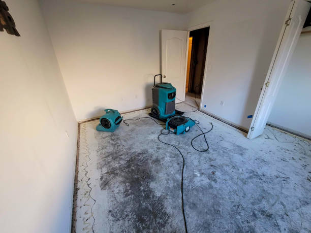 Best Residential water damage restoration  in Greenbriar, FL