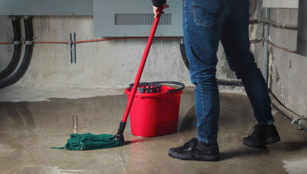 Best Water damage restoration near me  in Greenbriar, FL
