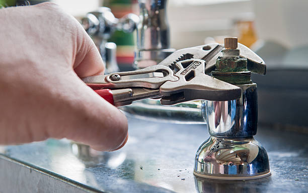 Best Mold removal after water damage  in Greenbriar, FL