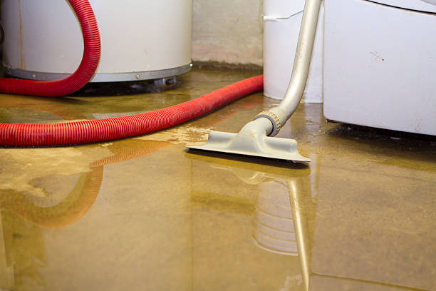 Best Flooded house restoration  in Greenbriar, FL