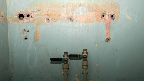 Best Emergency water damage restoration  in Greenbriar, FL