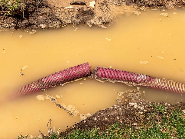 Water damage restoration mold remediation in FL