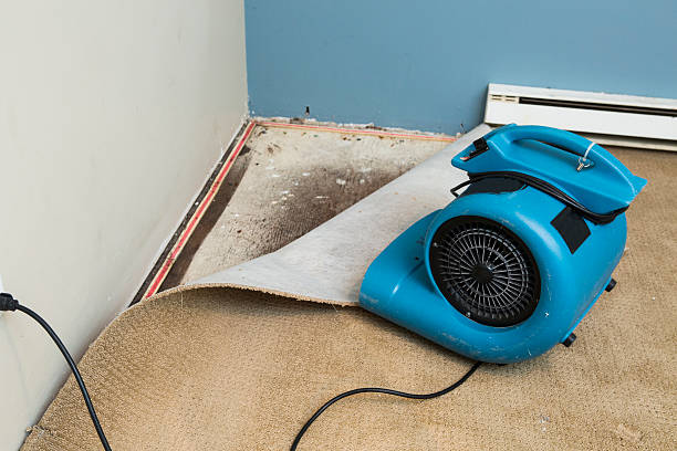 Best Carpet water damage restoration  in Greenbriar, FL
